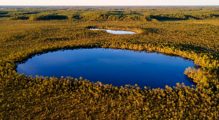 Estland Meenikunno Hochmoor Foto Visit Estonia